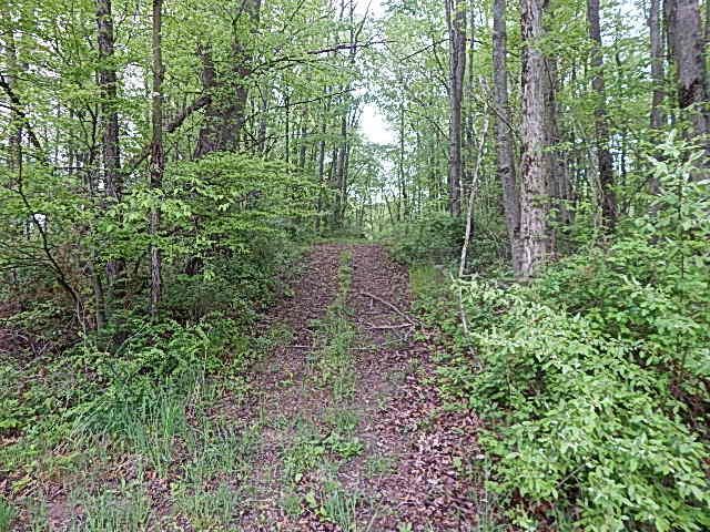 15250 27 Mile Road, Albion, MI 49224