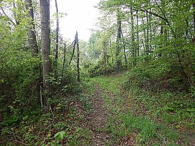 15250 27 Mile Road, Albion, MI 49224