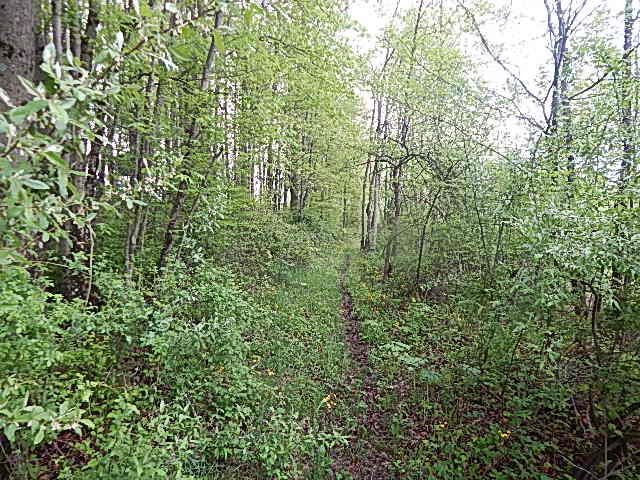 15250 27 Mile Road, Albion, MI 49224