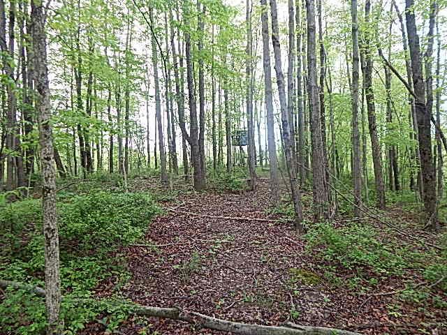 15250 27 Mile Road, Albion, MI 49224