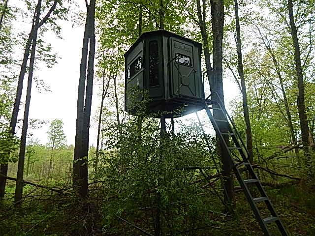 15250 27 Mile Road, Albion, MI 49224