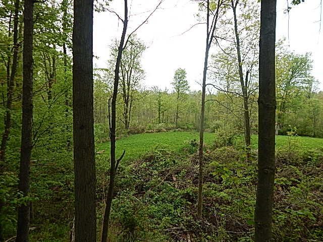 15250 27 Mile Road, Albion, MI 49224