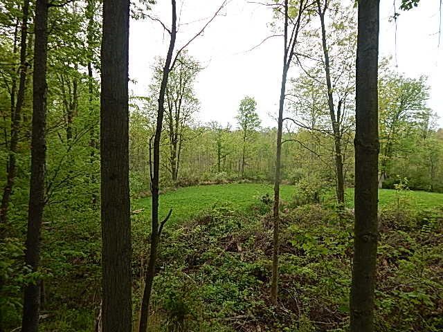 15250 27 Mile Road, Albion, MI 49224