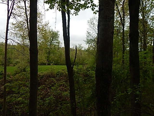 15250 27 Mile Road, Albion, MI 49224