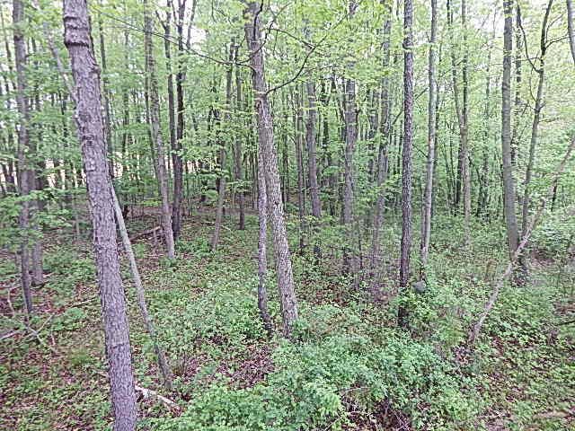 15250 27 Mile Road, Albion, MI 49224