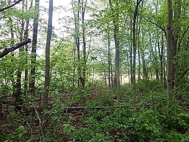 15250 27 Mile Road, Albion, MI 49224