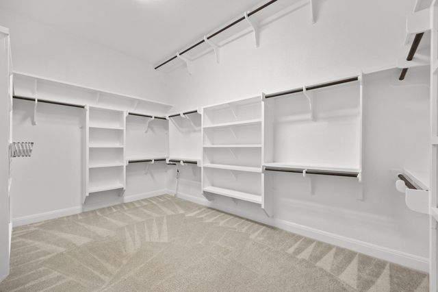 1511 Parke Bluff BND, Cedar Park, TX 78613