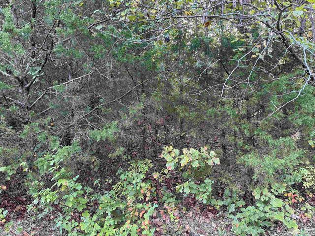 1108 & 1110 Pavilion Lane, Horseshoe Bend, AR 72512