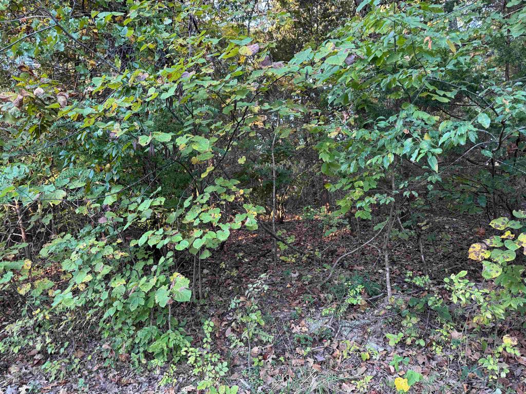 1108 & 1110 Pavilion Lane, Horseshoe Bend, AR 72512
