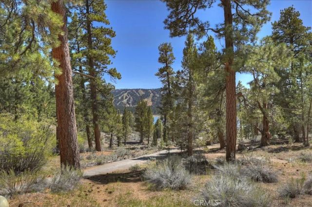 4 Lakeview Track, Fawnskin, CA 92333