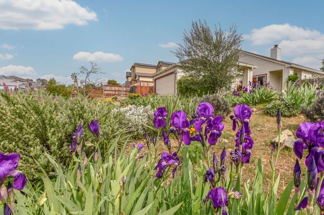 166 Placer Dr, Jackson, CA 95642