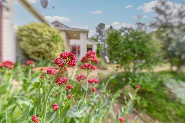 166 Placer Dr, Jackson, CA 95642