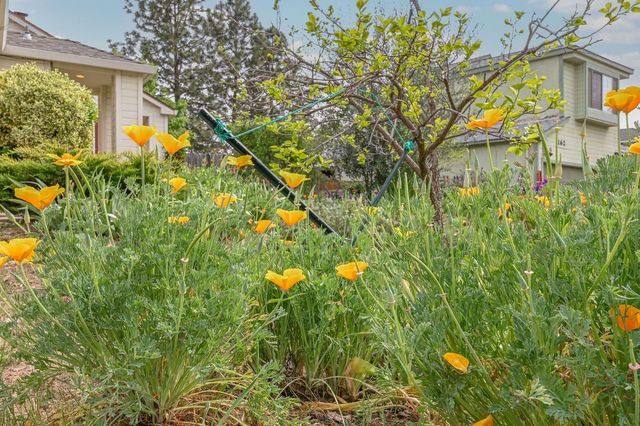 166 Placer Dr, Jackson, CA 95642
