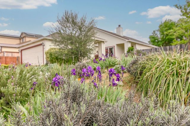 166 Placer Dr, Jackson, CA 95642