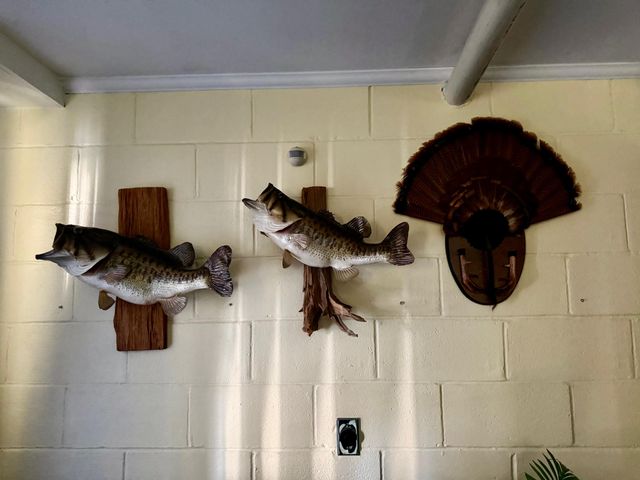 1235-A Long Branch Road, Beattyville, KY 41311