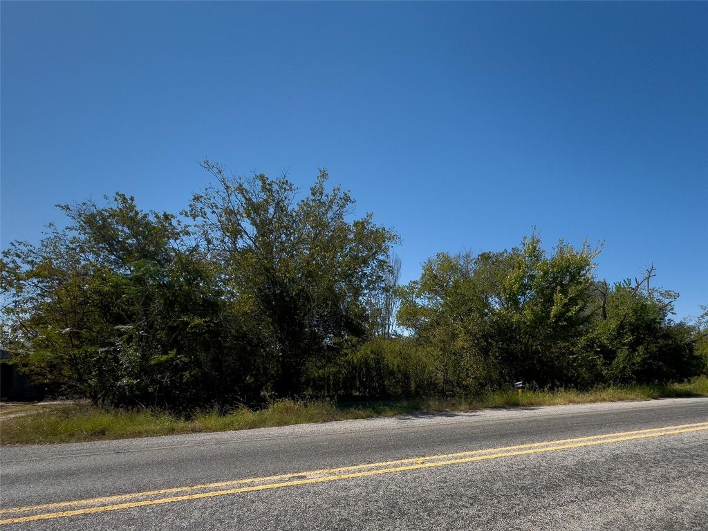 6625 Tx-Loop 220, Plum, TX 78952