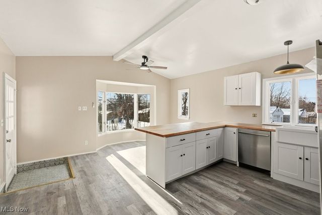 248 E Catawba Avenue, Akron, OH 44301