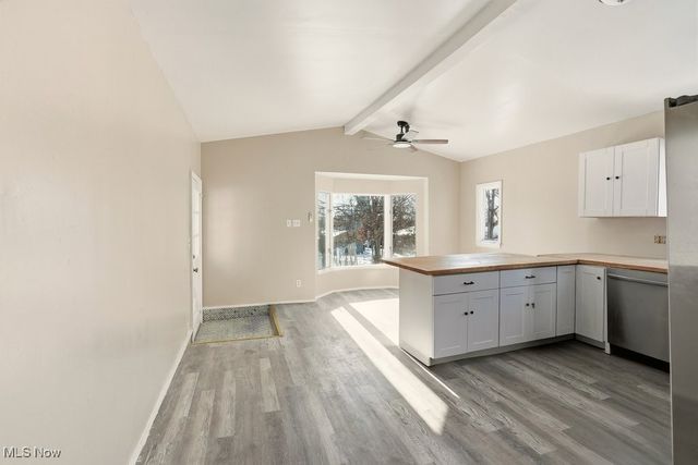 248 E Catawba Avenue, Akron, OH 44301