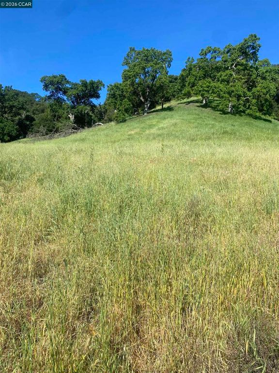 Toyon Road, Lafayette, CA 94549
