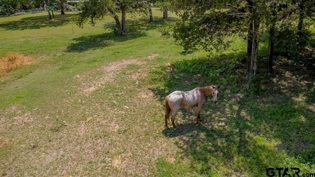 249 Private Road 6936, Alba, TX 75410