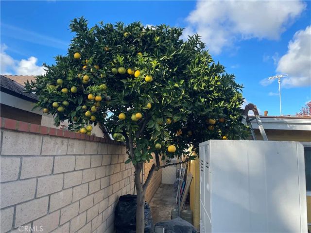 825 Sonora Road, Costa Mesa, CA 92626