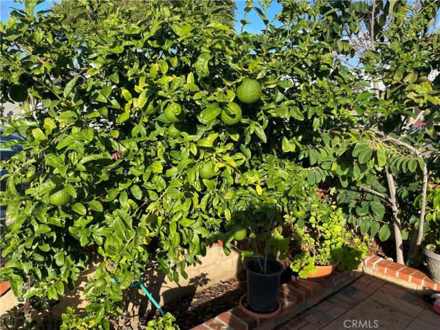 825 Sonora Road, Costa Mesa, CA 92626