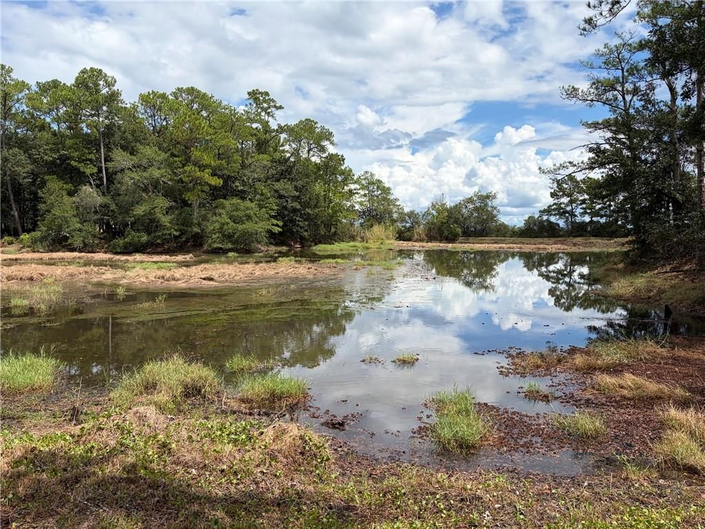 0 Riverview Nursery Road, Theodore, AL 36582 — photo 5