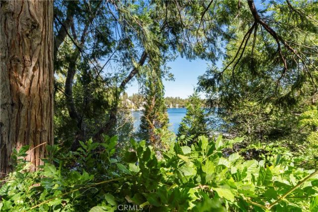 197 Rocky Point, Lake Arrowhead, CA 92352