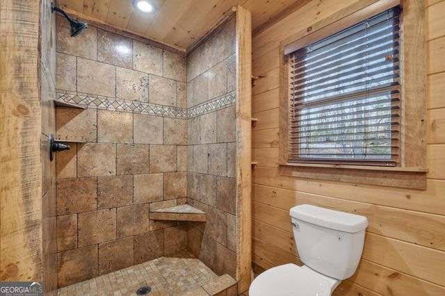 17 Dial Mountain Drive 1,2, Blue Ridge, GA 30513