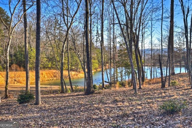 17 Dial Mountain Drive 1,2, Blue Ridge, GA 30513