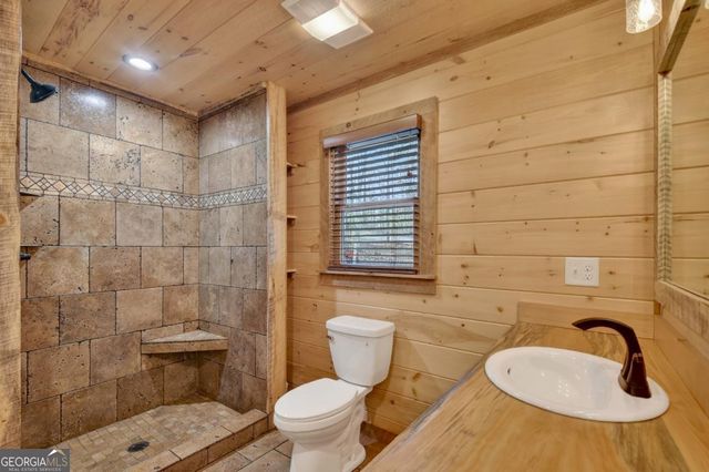 17 Dial Mountain Drive 1,2, Blue Ridge, GA 30513