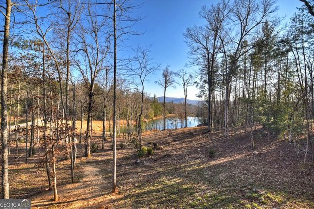 17 Dial Mountain Drive 1,2, Blue Ridge, GA 30513