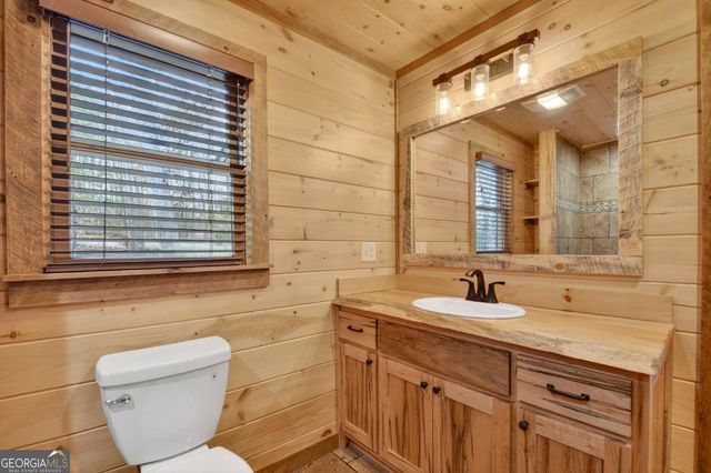 17 Dial Mountain Drive 1,2, Blue Ridge, GA 30513