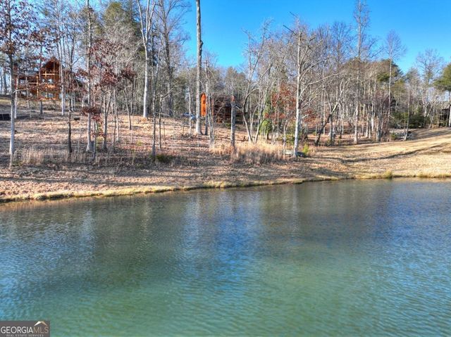 17 Dial Mountain Drive 1,2, Blue Ridge, GA 30513