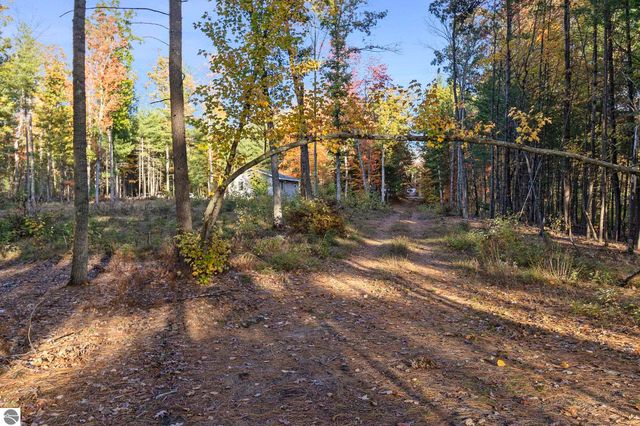 00 S Emma Avenue, Baldwin, MI 49304