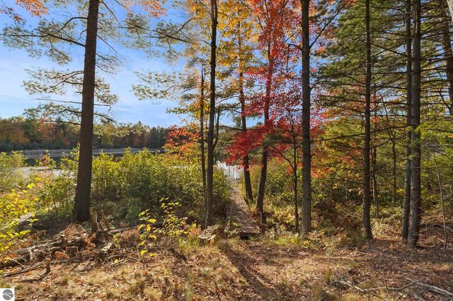 00 S Emma Avenue, Baldwin, MI 49304