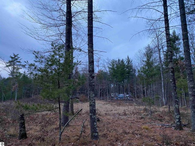 00 S Emma Avenue, Baldwin, MI 49304