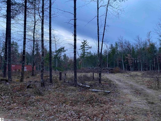 00 S Emma Avenue, Baldwin, MI 49304