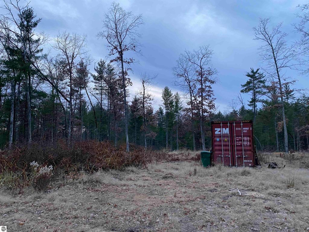 Image 3 of property listing at 00 S Emma Avenue, Baldwin, MI 49304