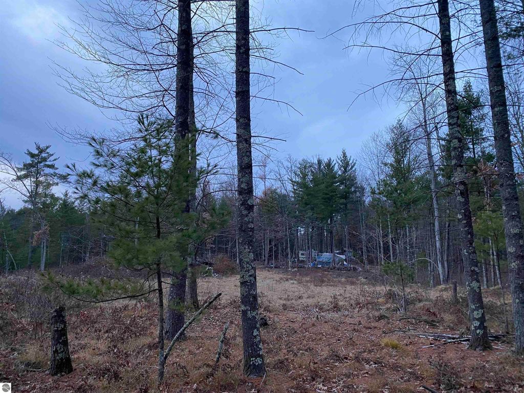 Image 4 of property listing at 00 S Emma Avenue, Baldwin, MI 49304