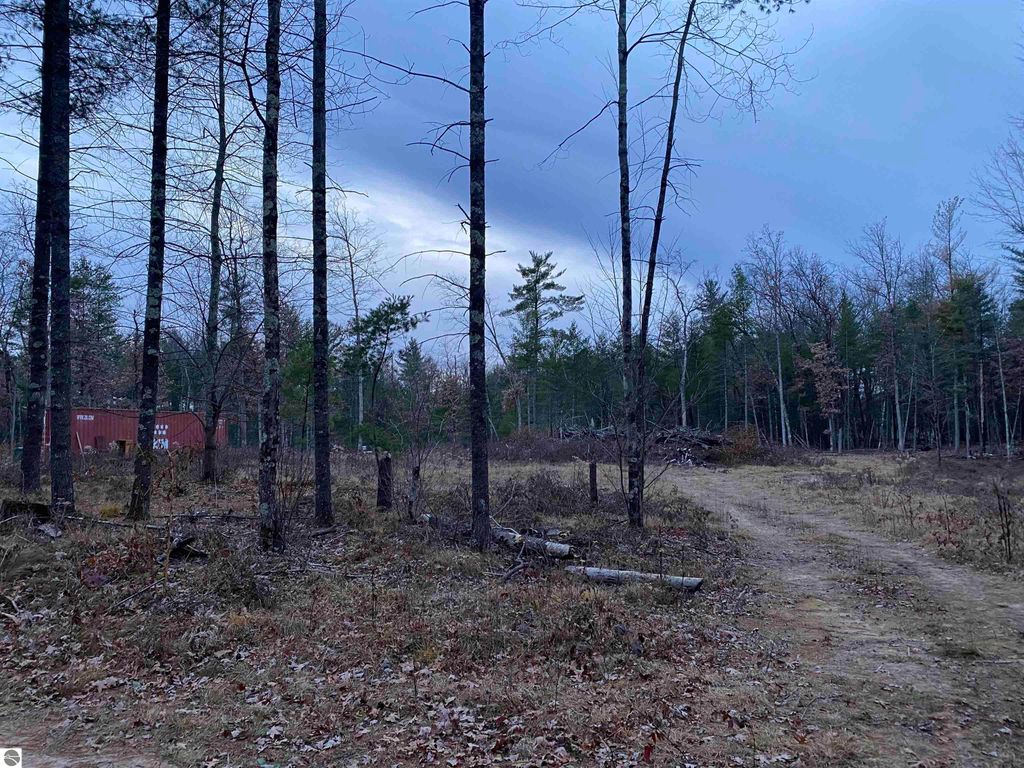 Image 5 of property listing at 00 S Emma Avenue, Baldwin, MI 49304