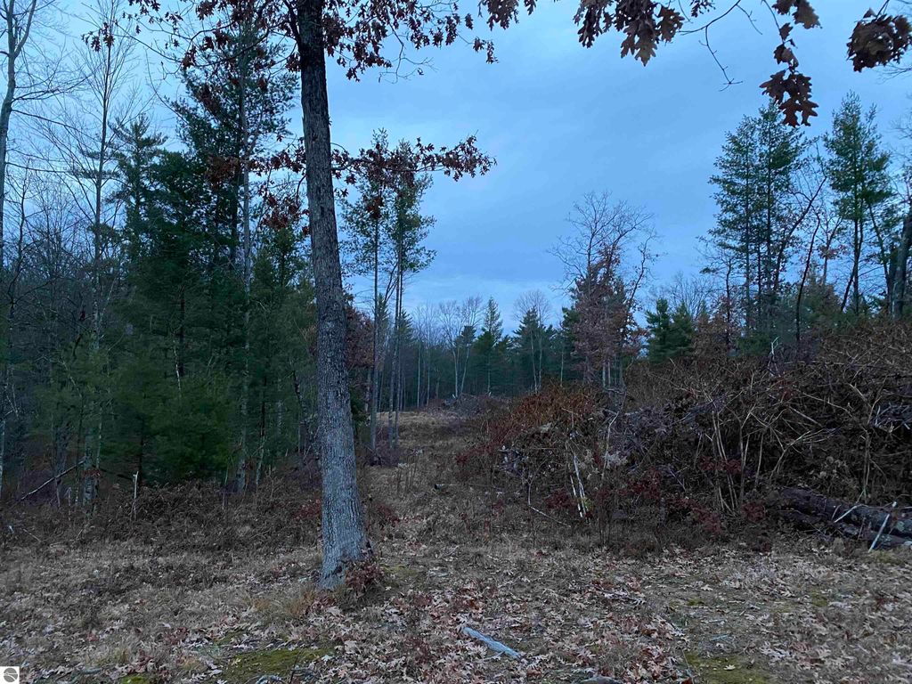 Image 6 of property listing at 00 S Emma Avenue, Baldwin, MI 49304