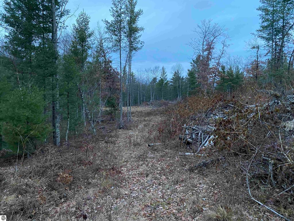 Image 7 of property listing at 00 S Emma Avenue, Baldwin, MI 49304