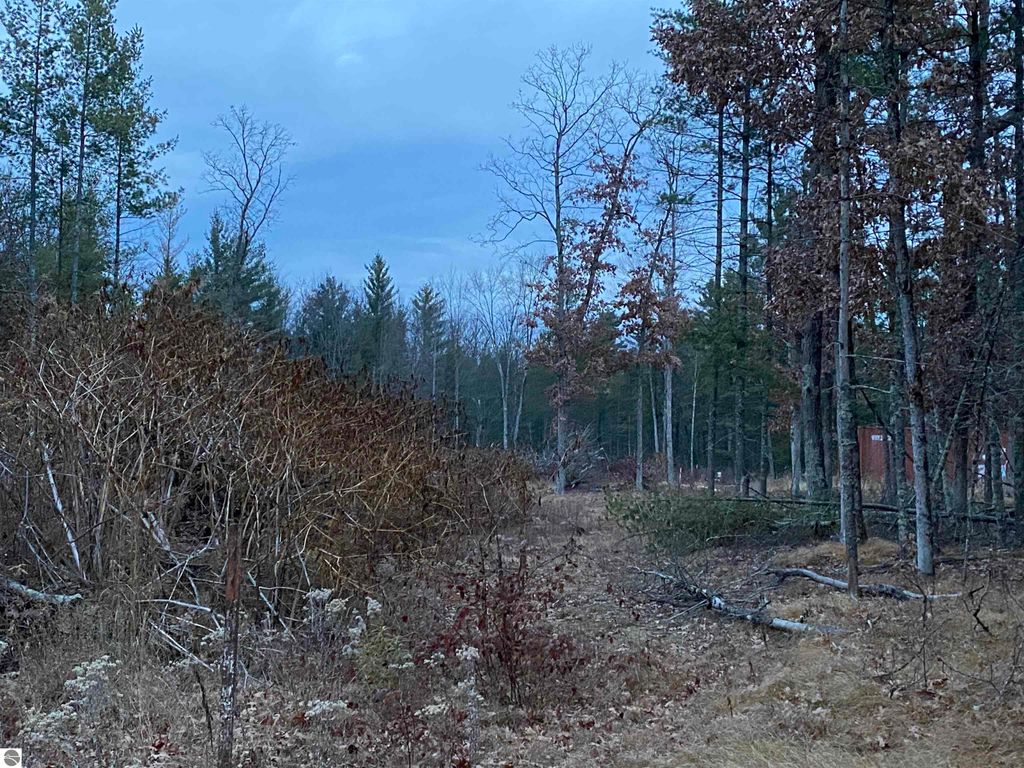 Image 8 of property listing at 00 S Emma Avenue, Baldwin, MI 49304