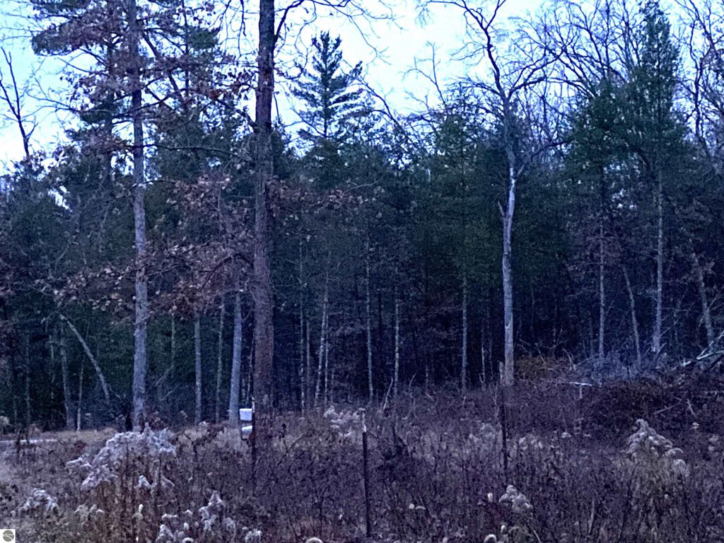 Image 9 of property listing at 00 S Emma Avenue, Baldwin, MI 49304