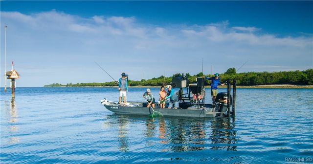 9330 N Lily Drive, Citrus Springs, FL 34434