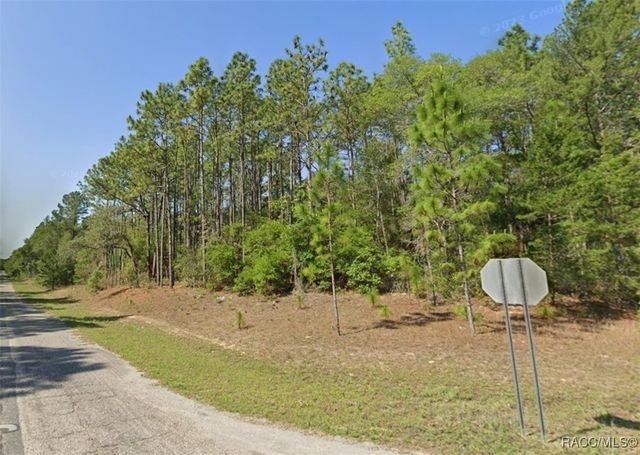 9330 N Lily Drive, Citrus Springs, FL 34434