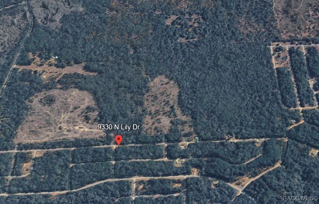 9330 N Lily Drive, Citrus Springs, FL 34434