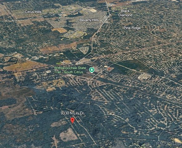 9330 N Lily Drive, Citrus Springs, FL 34434