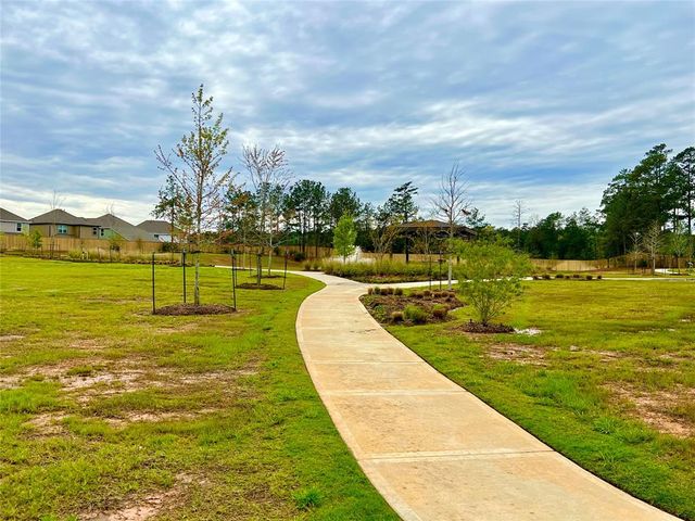 14044 Paddlefish Drive, Conroe, TX 77384